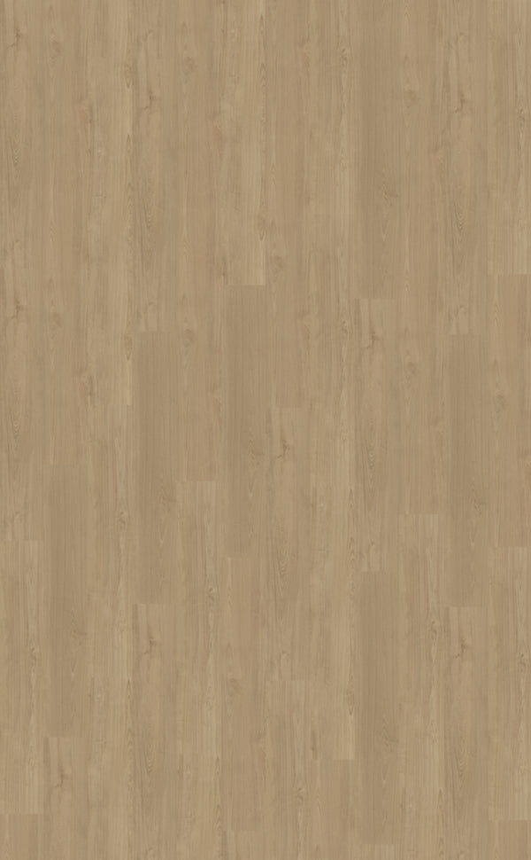 Belakos Portico Rigid Click Portico 540 | Rigid Click