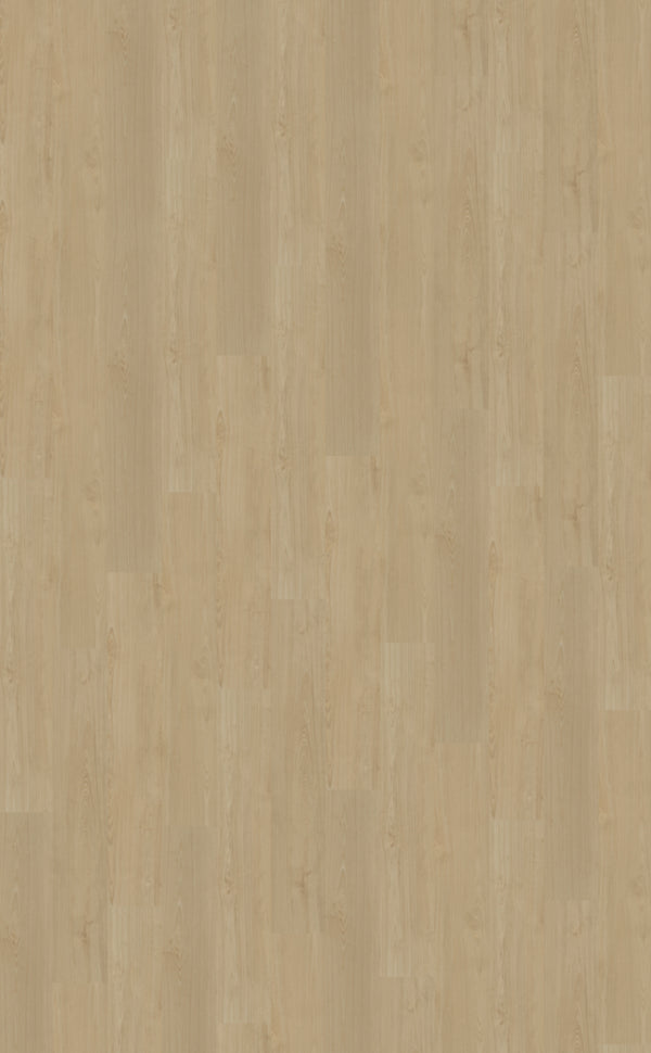 Belakos Portico Rigid Click Portico 550 | Rigid Click