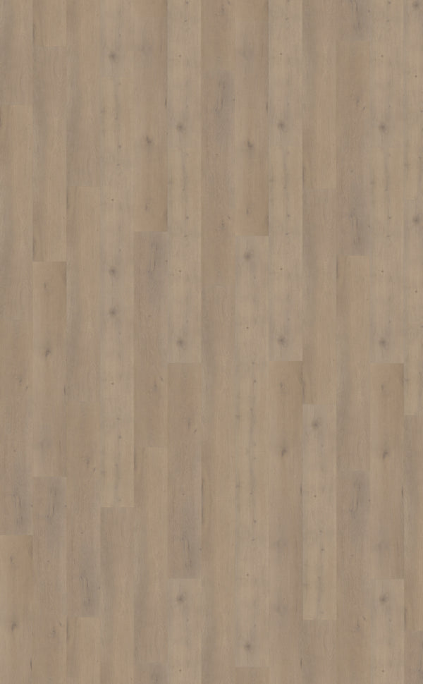 Belakos Attico 820