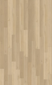 Belakos Borgo 310 vloer, afbeelding 1