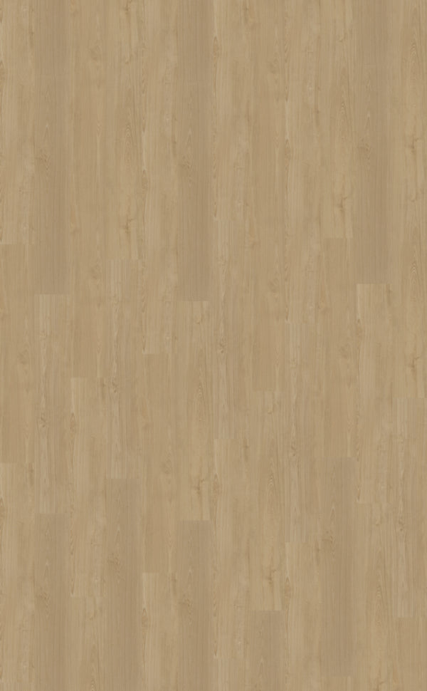 Belakos Portico Rigid Click Portico 560 | Rigid Click