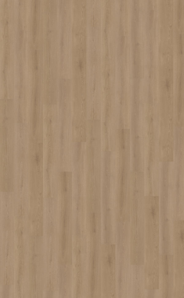 Belakos Puro 440
