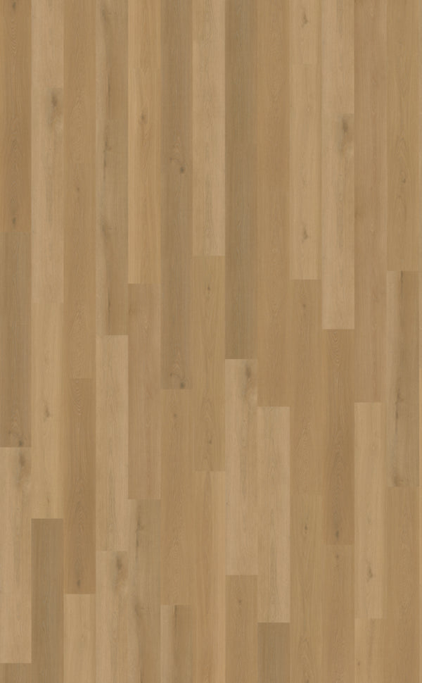 Belakos Borgo 320