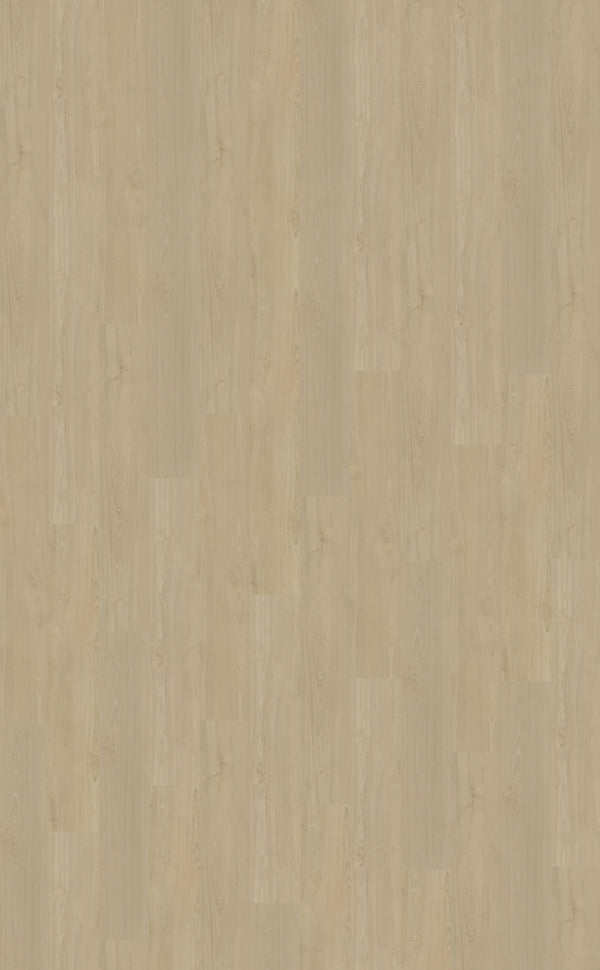 Belakos Portico Rigid Click Portico 570 | Rigid Click