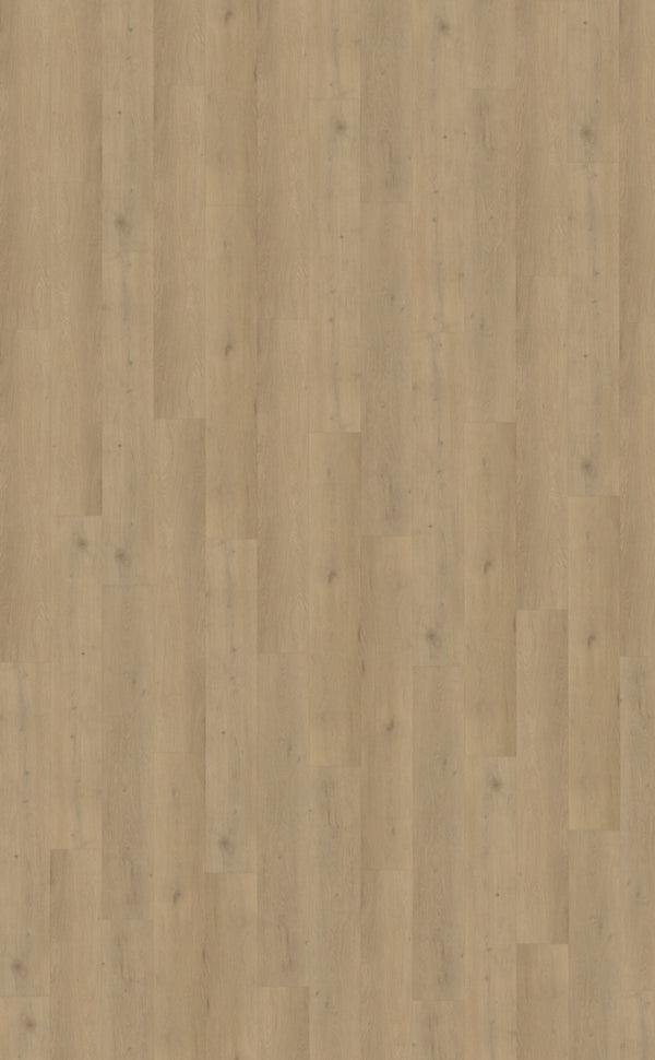 Belakos Attico Rigid Click Attico 870 | Rigid Click