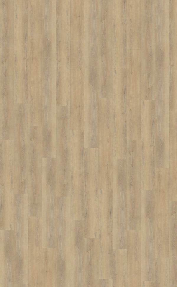 Belakos Palazzo Rigid Click Palazzo 720 | Rigid Click