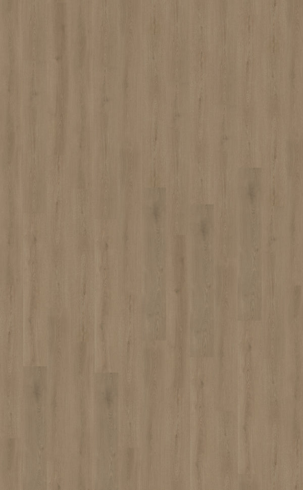 Belakos Puro 430