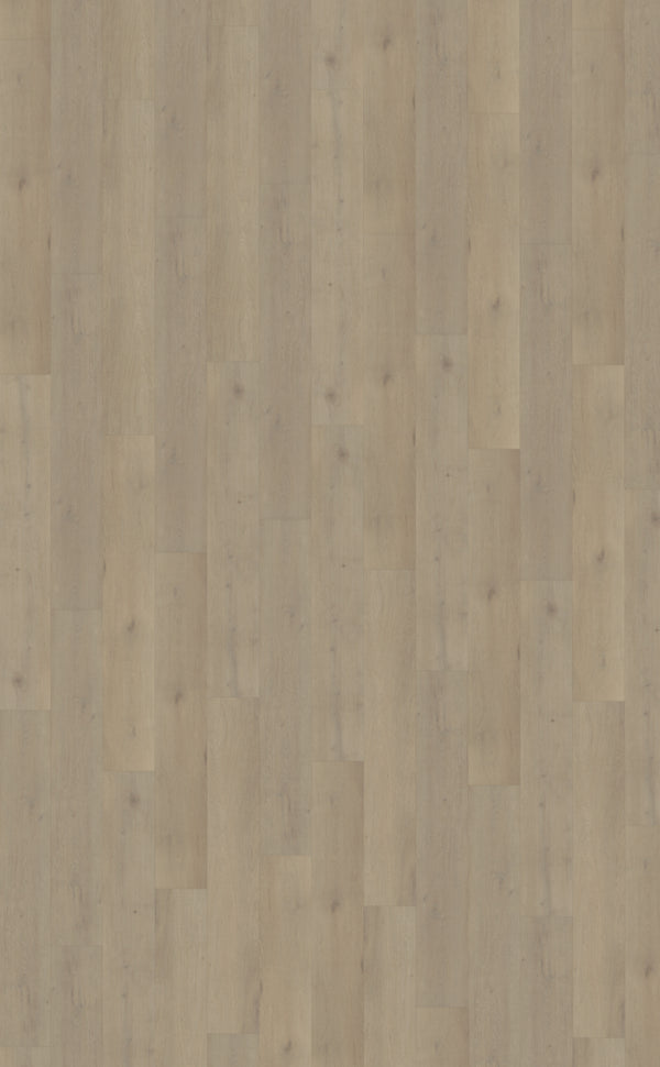Belakos Attico Rigid Click Attico 850 | Rigid Click