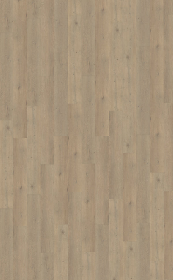 Belakos Attico Rigid Click Attico 860 | Rigid Click