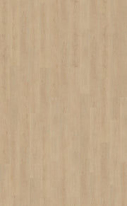 Belakos Monastro Rigid Click Monastro 920 | Rigid Click