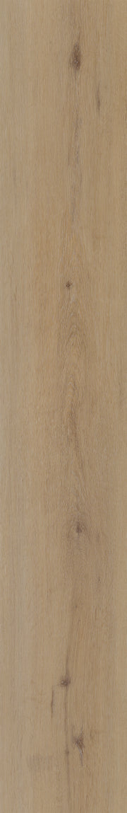 Belakos Attico 800