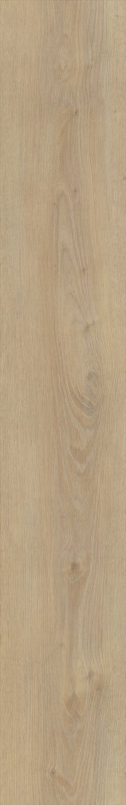 Belakos Palazzo Rigid Click Palazzo 720 | Rigid Click