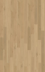 Belakos Borgo Rigid Click Borgo 300 | Rigid Click