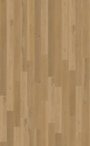 Belakos Borgo Rigid Click Borgo 320 | Rigid Click