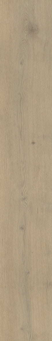 Belakos Attico 860