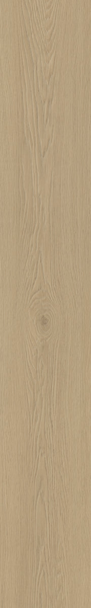 Belakos Borgo Rigid Click Borgo 310 | Rigid Click