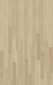 Belakos Borgo Rigid Click Borgo 330 | Rigid Click