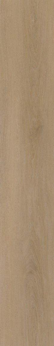 Belakos Attico 810