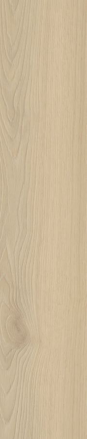 Belakos Borgo visgraat XL 33