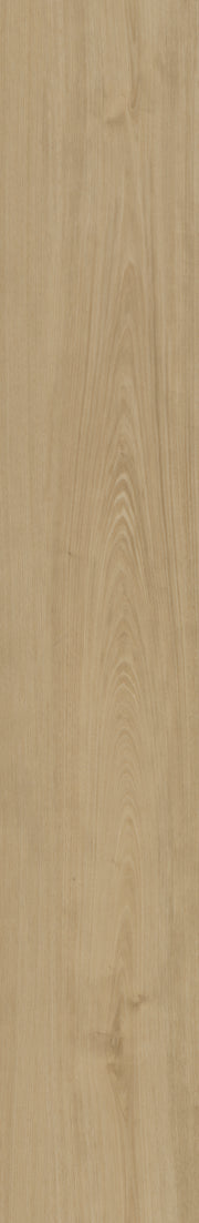 Belakos Portico Rigid Click Portico 560 | Rigid Click