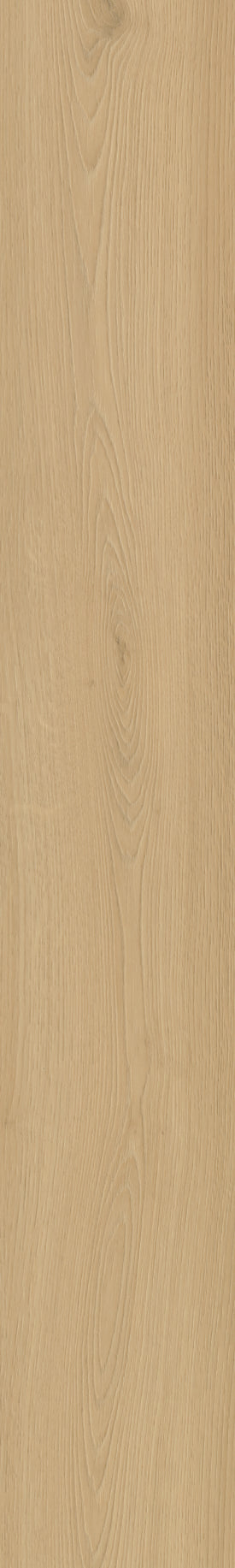 Belakos Borgo Rigid Click Borgo 300 | Rigid Click
