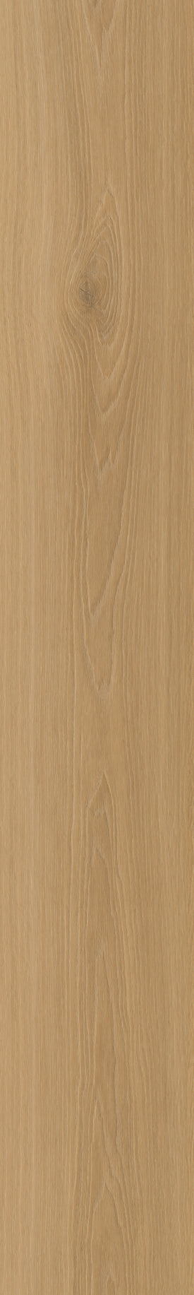 Belakos Borgo Rigid Click Borgo 320 | Rigid Click