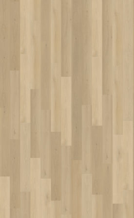 Belakos Borgo Rigid Click Borgo 310 | Rigid Click