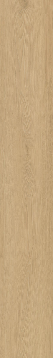 Belakos Borgo Rigid Click Borgo 300 | Rigid Click