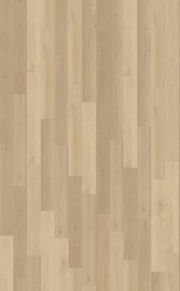 Belakos Borgo Rigid Click Borgo 310 | Rigid Click