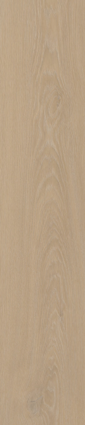 Belakos Cervo Walvisgraat W20