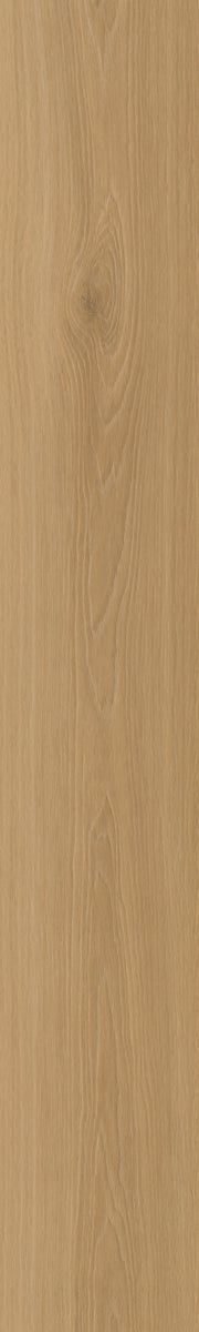 Belakos Borgo 320