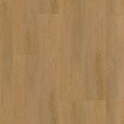 Ambiant Sentima dryback dark oak