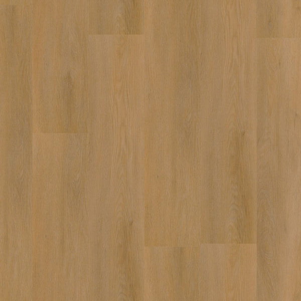 Ambiant Sentima dryback dark oak