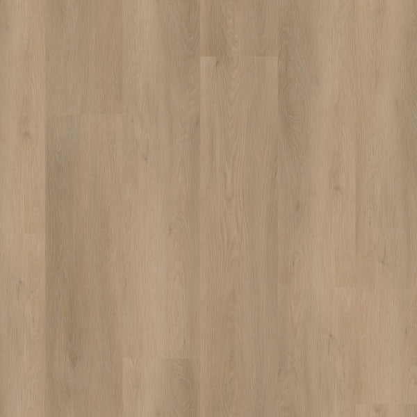 Ambiant Sentima dryback beige