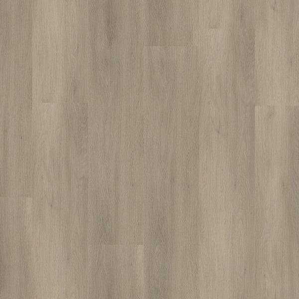 Ambiant Sentima dryback smoky