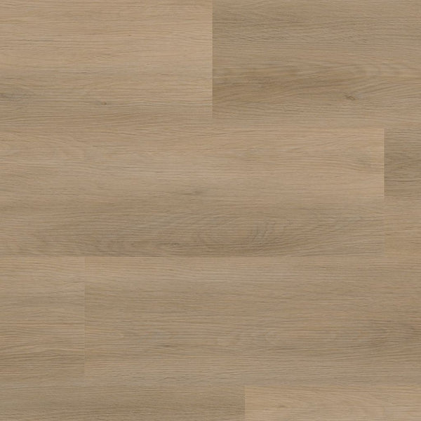 Ambiant Sentima dryback natural oak