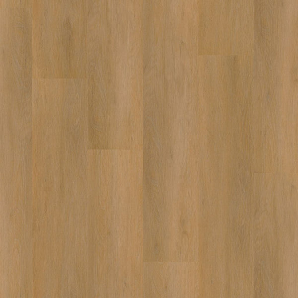 Ambiant Sentima click dark oak