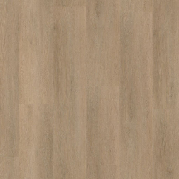 Ambiant Sentima click beige