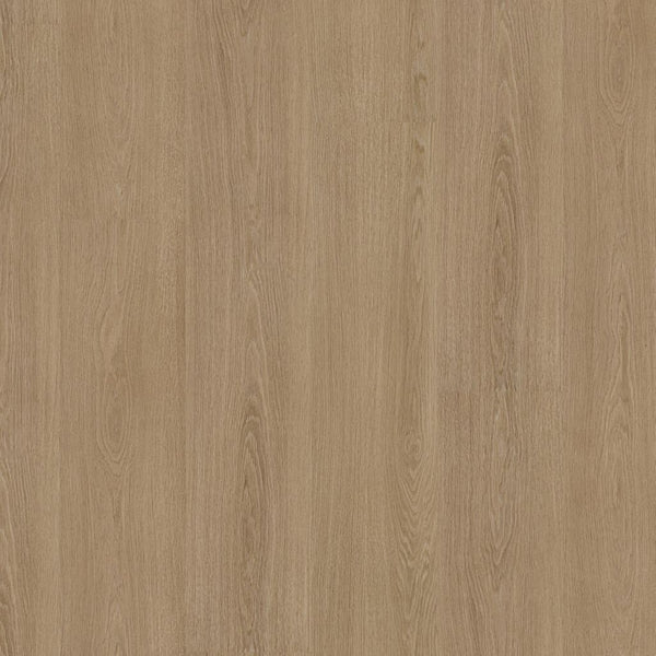 Ambiant Soleno dryback warm oak
