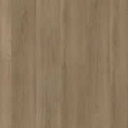 Ambiant Soleno click SRC dark oak