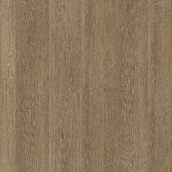 Ambiant Soleno click SRC dark oak