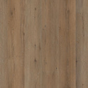 Ambiant Vivero dryback smoky