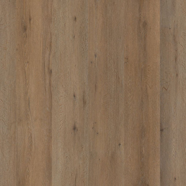 Ambiant Vivero dryback smoky