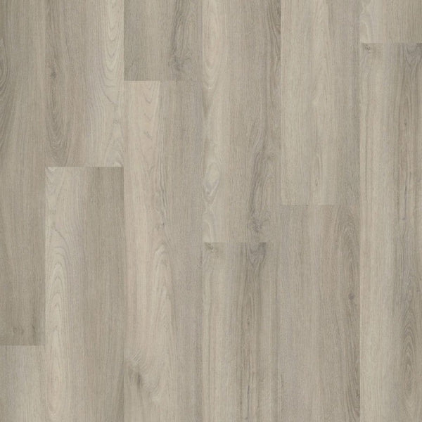 Ambiant Avanto click SRC light grey