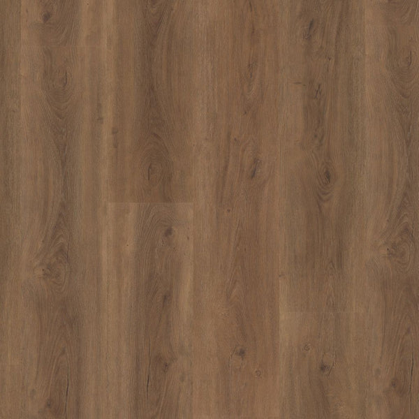 Ambiant Robusto click SRC warm brown