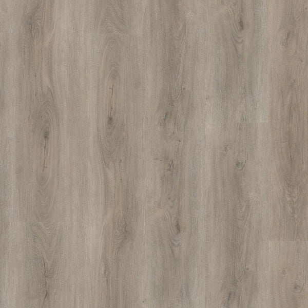 Ambiant Robusto click SRC light grey