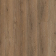 Ambiant Vivero click SRC smoky
