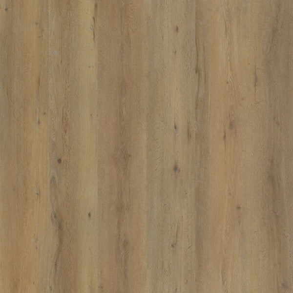 Ambiant Vivero click SRC dark oak