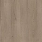 Ambiant Venera dryback smoky