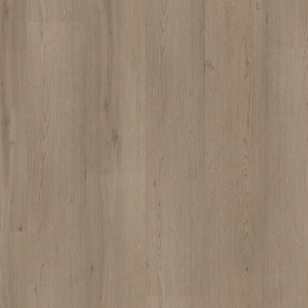 Ambiant Venera dryback smoky